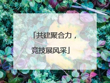 共建聚合力，竞技展风采