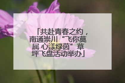 共赴青春之约，南通崇川“飞你莫属 心漾绿茵”草坪飞盘活动举办