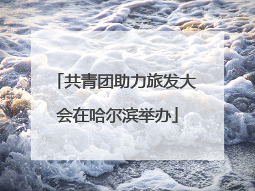 共青团助力旅发大会在哈尔滨举办