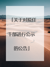 关于对拟任干部进行公示的公告