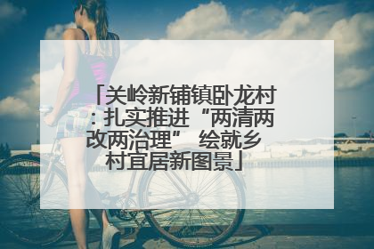 关岭新铺镇卧龙村：扎实推进“两清两改两治理” 绘就乡村宜居新图景
