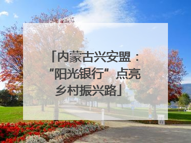 内蒙古兴安盟：“阳光银行”点亮乡村振兴路