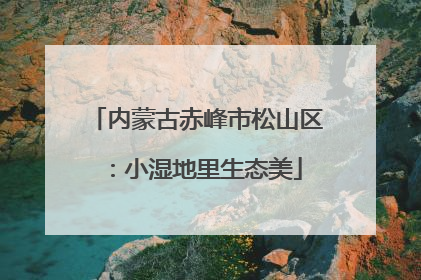 内蒙古赤峰市松山区：小湿地里生态美