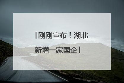 刚刚宣布！湖北新增一家国企