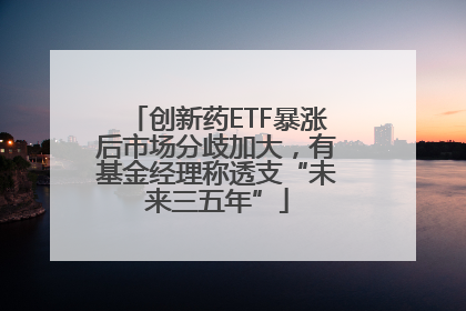 创新药ETF暴涨后市场分歧加大，有基金经理称透支“未来三五年”