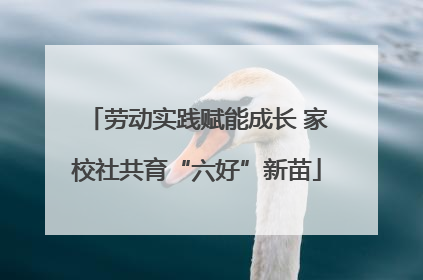 劳动实践赋能成长 家校社共育“六好”新苗