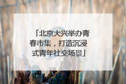 北京大兴举办青春市集，打造沉浸式青年社交场景