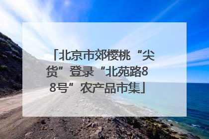 北京市郊樱桃“尖货”登录“北苑路88号”农产品市集