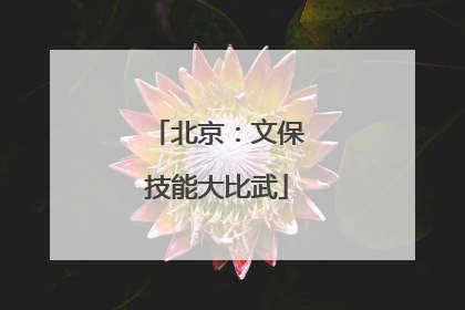 北京：文保技能大比武
