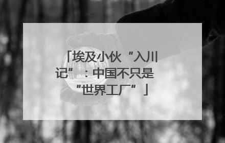 埃及小伙“入川记”：中国不只是“世界工厂”
