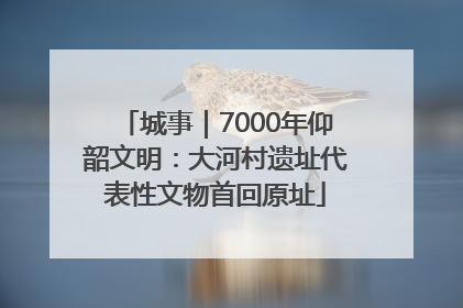 城事｜7000年仰韶文明：大河村遗址代表性文物首回原址