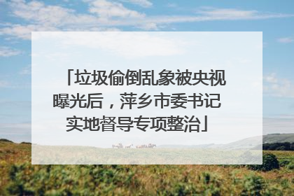 垃圾偷倒乱象被央视曝光后，萍乡市委书记实地督导专项整治