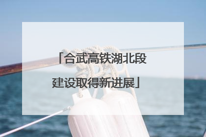 合武高铁湖北段建设取得新进展
