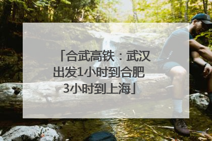 合武高铁：武汉出发1小时到合肥3小时到上海