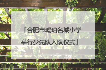 合肥市琥珀名城小学举行少先队入队仪式