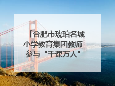 合肥市琥珀名城小学教育集团教师参与“千课万人”数学论坛活动