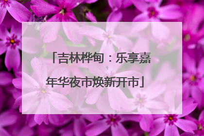 吉林桦甸：乐享嘉年华夜市焕新开市