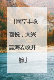同享丰收喜悦，大兴瀛海麦收开镰