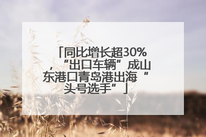 同比增长超30%，“出口车辆”成山东港口青岛港出海“头号选手”
