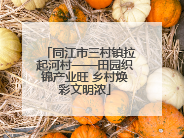 同江市三村镇拉起河村——田园织锦产业旺 乡村焕彩文明浓