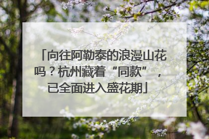 向往阿勒泰的浪漫山花吗？杭州藏着“同款”，已全面进入盛花期