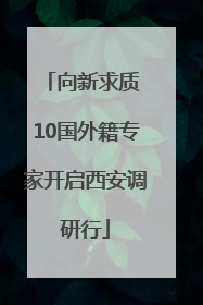 向新求质 10国外籍专家开启西安调研行