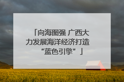 向海图强 广西大力发展海洋经济打造“蓝色引擎”