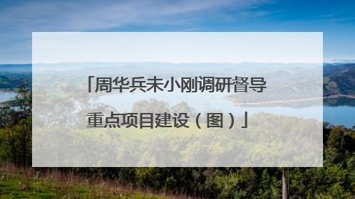 周华兵未小刚调研督导重点项目建设（图）