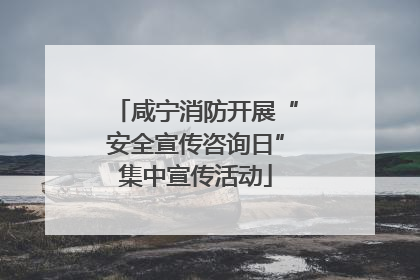 咸宁消防开展“安全宣传咨询日”集中宣传活动
