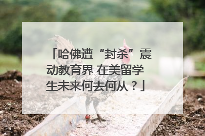 哈佛遭“封杀”震动教育界 在美留学生未来何去何从？