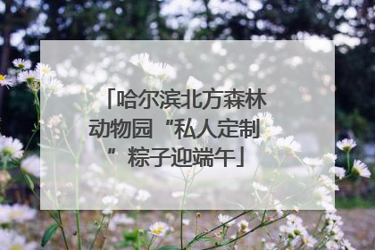 哈尔滨北方森林动物园“私人定制”粽子迎端午