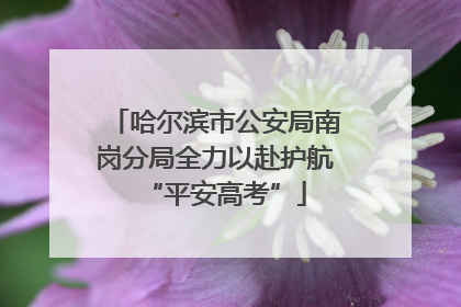哈尔滨市公安局南岗分局全力以赴护航“平安高考”
