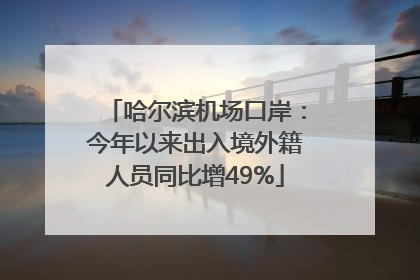 哈尔滨机场口岸：今年以来出入境外籍人员同比增49%