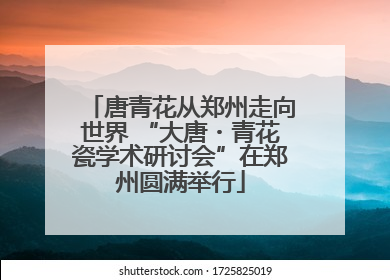 唐青花从郑州走向世界 “大唐・青花瓷学术研讨会”在郑州圆满举行