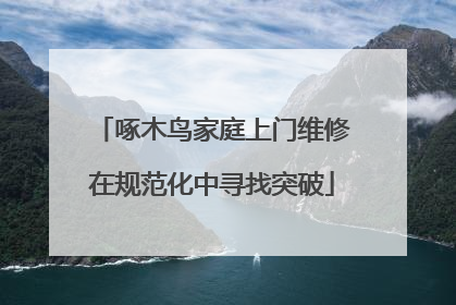 啄木鸟家庭上门维修在规范化中寻找突破