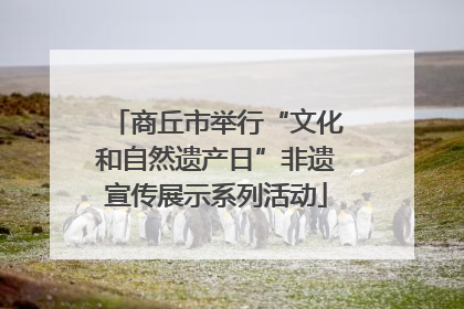 商丘市举行“文化和自然遗产日”非遗宣传展示系列活动
