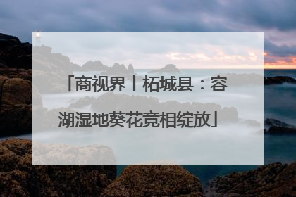 商视界丨柘城县：容湖湿地葵花竞相绽放