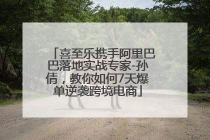 喜至乐携手阿里巴巴落地实战专家-孙倩，教你如何7天爆单逆袭跨境电商