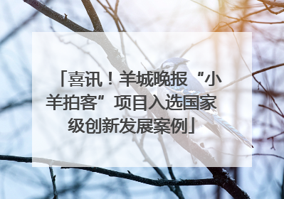喜讯！羊城晚报“小羊拍客”项目入选国家级创新发展案例