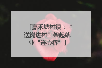 嘉禾塘村镇：“送岗进村”架起就业“连心桥”