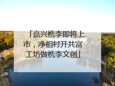 嘉兴槜李即将上市，净相村开共富工坊做槜李文创