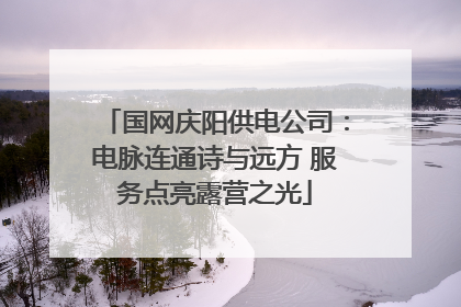 国网庆阳供电公司：电脉连通诗与远方 服务点亮露营之光