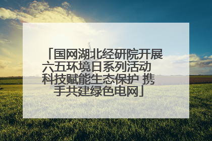 国网湖北经研院开展六五环境日系列活动 科技赋能生态保护 携手共建绿色电网