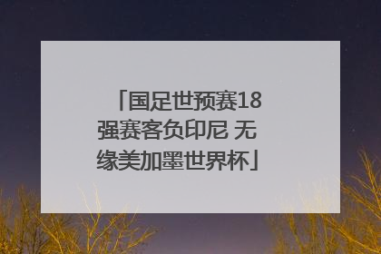 国足世预赛18强赛客负印尼 无缘美加墨世界杯