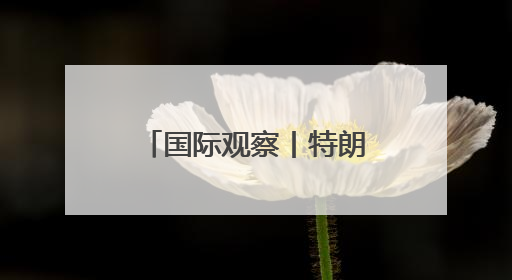 国际观察丨特朗普政府接受豪华赠机引发争议