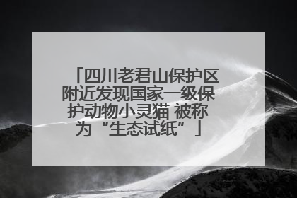 四川老君山保护区附近发现国家一级保护动物小灵猫 被称为“生态试纸”