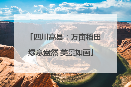 四川高县：万亩稻田绿意盎然 美景如画