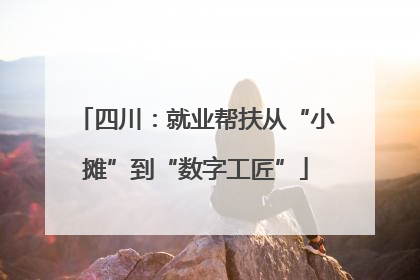 四川：就业帮扶从“小摊”到“数字工匠”