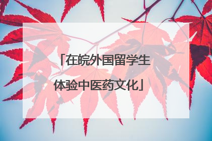在皖外国留学生体验中医药文化