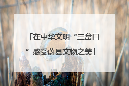在中华文明“三岔口”感受蔚县文物之美